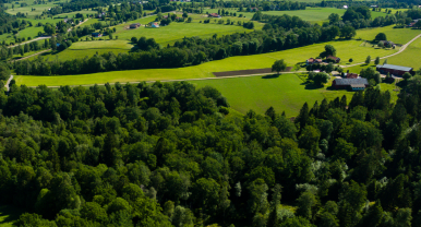 Une plaine